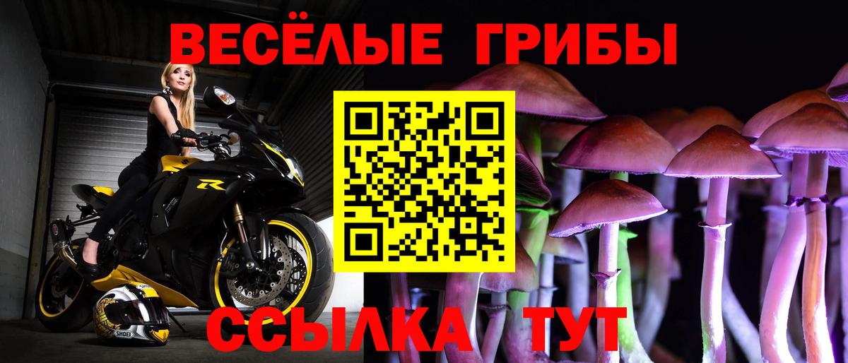 Псилоцибиновые грибы мухоморы  Галлюциногенные грибы ЛСД  Вход с VPN  Серов 